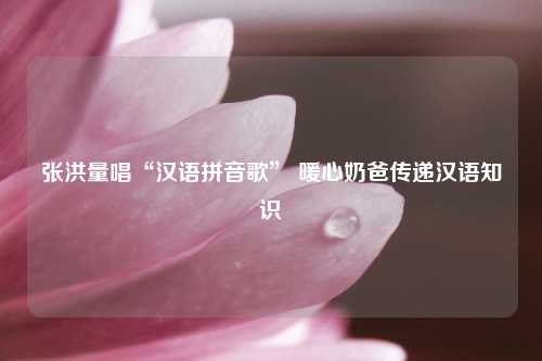 张洪量唱“汉语拼音歌” 暖心奶爸传递汉语知识
